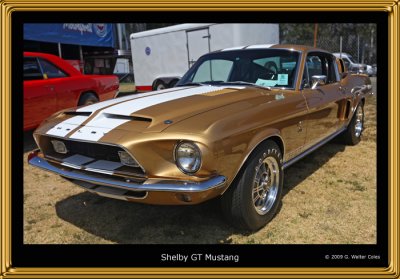 Mustang 1960s Shelby F.jpg