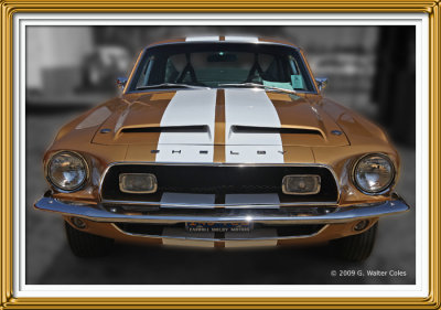 Mustang 1960s Shelby G.jpg