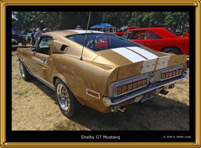 Mustang 1960s Shelby R.jpg