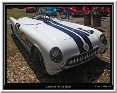 Corvette 1950s Racing White Blue.jpg