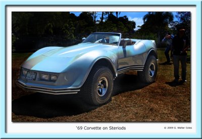 Corvette 1969 Giant Replica 2.jpg