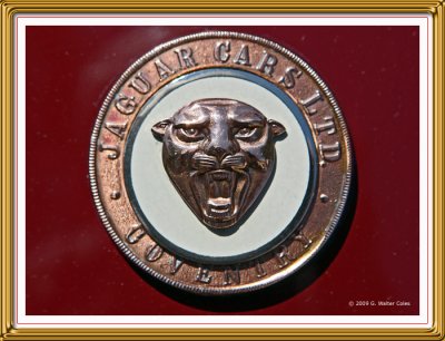 Jaguar 1950 Red Conv HB09 Emblem.jpg