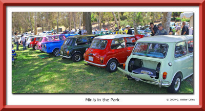 Minii Coopers HB Library Park 09.jpg