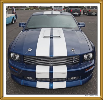 Mustang 2000s Shelby Cobra Blue White G.jpg