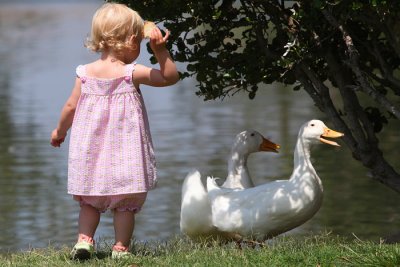 CM Park Girl Feeding Geese.jpg
