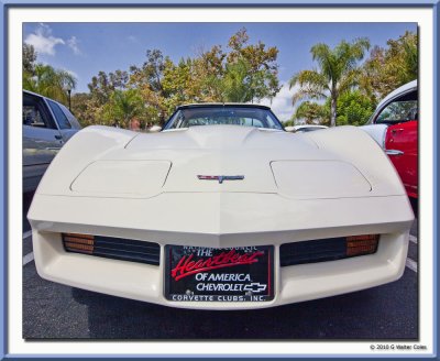 Corvette 1977 White G SA.jpg