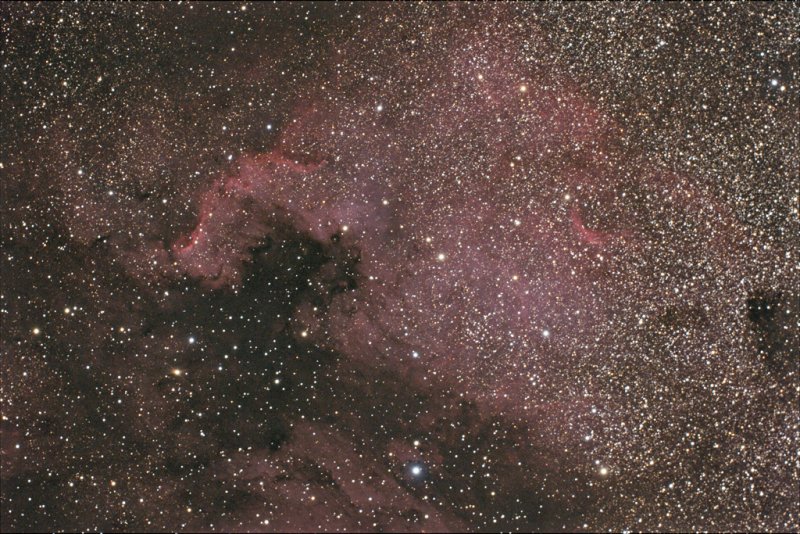 NGC 7000