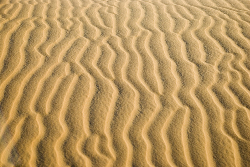 Desert lines...