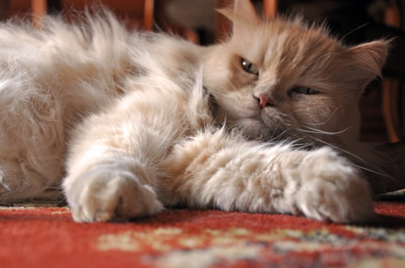 Sleepy