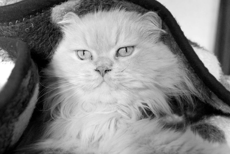 Desaturated