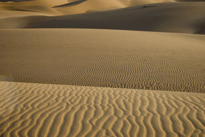 Sand Patterns...