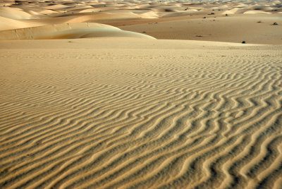 Sea of dunes...