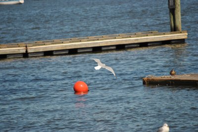 Nyack Park Near Hudson River