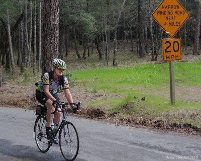 4-10-09 Barb at top of Ink Grade_4353.JPG