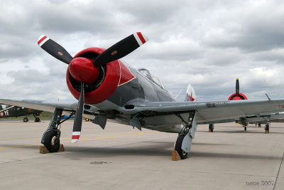 nancy07-yak-1.jpg
