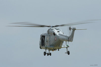ntm08-lynx.jpg