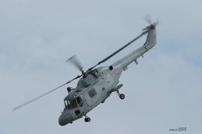 ntm08-lynx-1.jpg