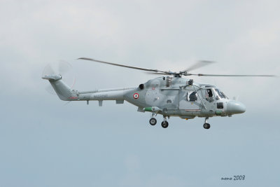 ntm08-lynx-5.jpg