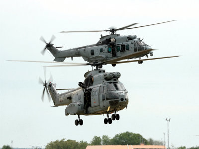 metz07-caracal-et-puma-2.jpg