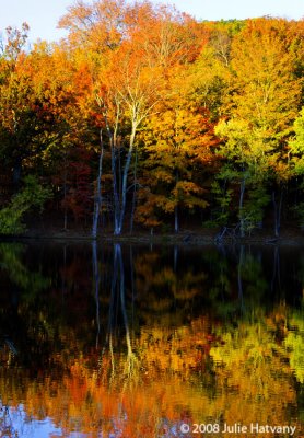 Fall Reflection At Radnor Lake