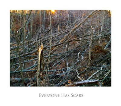 Scars Poster