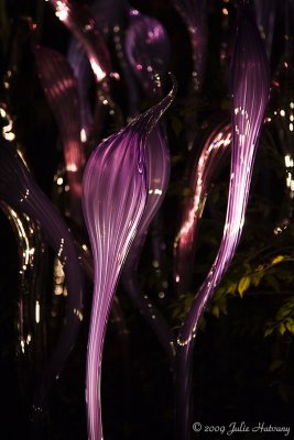 Chihuly at Cheekwood