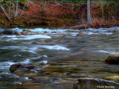 Rushing Water at the Townsend Wye