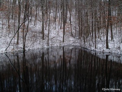 Pond and Snow