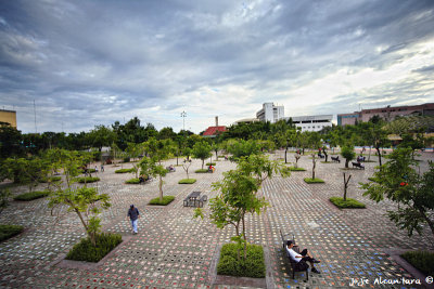 People's Park garden