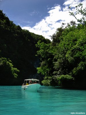 Palau's Milky Way