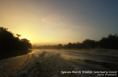 Sunrise and morning mist in Agusan Marsh