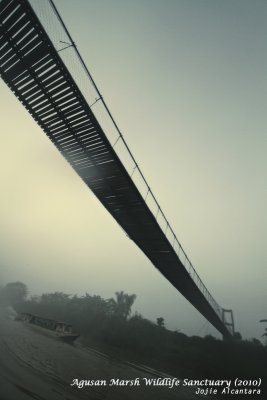 Bridge over Agusan Marsh on a misty morning