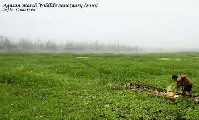 Misty morning in Lake Kaningbaylan, Agusan Marsh