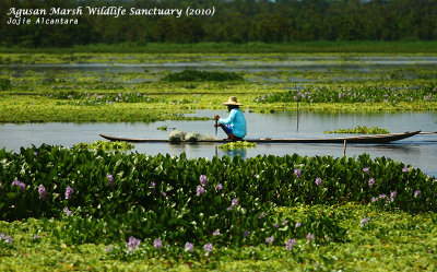 Agusan Marsh