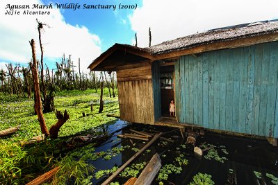 Agusan Marsh floating house