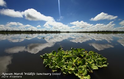 Lake Kaningbaylan, Agusan Marsh