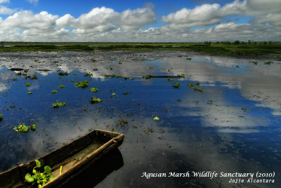 Lake Kaningbaylan, Agusan Marsh