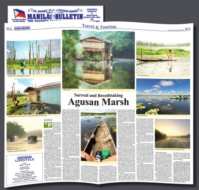 Nov 28 2010 Agusan Marsh