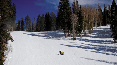 Action Photo on Golden Needle