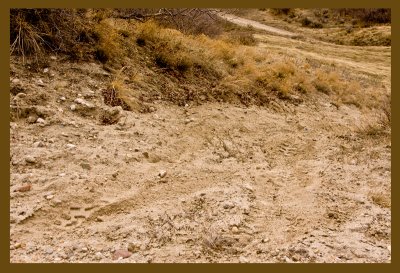 Olive Drab ATV tracks on Dust Cloud Hill