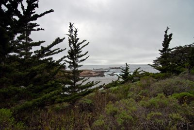 View from Cypress Grove