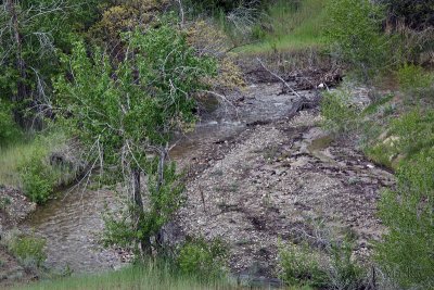 Dry Creek Wet on 19May09