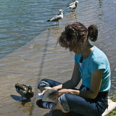 g1/23/798723/3/114038260.6JHVl2TE.jpg