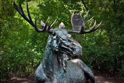 All knowing Moose