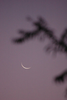 From my window this morning (September 27, 2008)