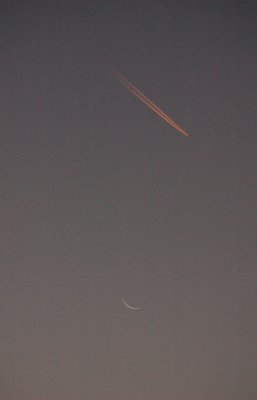 From my window this morning (september 27, 2008)
