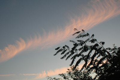 From my window this morning (October 10, 2008)