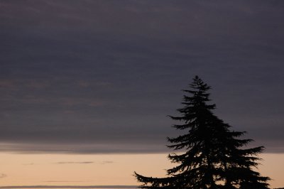 From my window this morning (October 24, 2008)