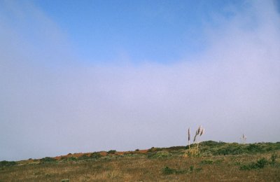 g1/23/819123/3/110501814.SOVmRnau.jpg
