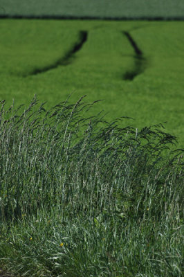 g1/23/819123/3/112635003.Z257POPP.jpg